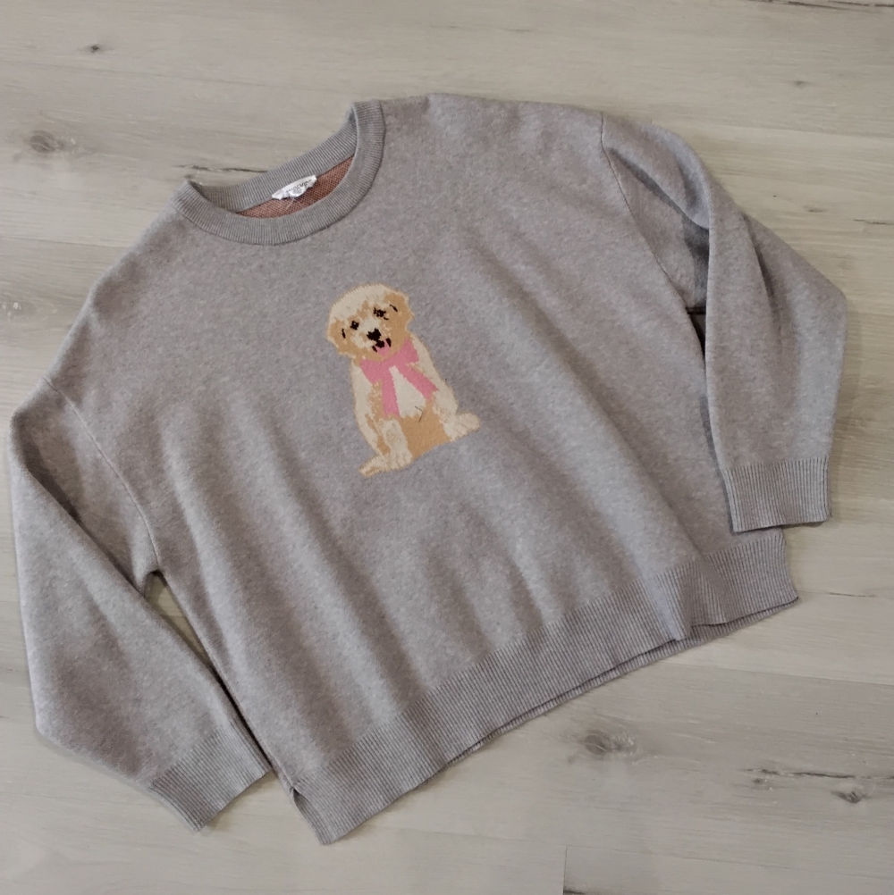 Women's Gray Sweater With Puppy